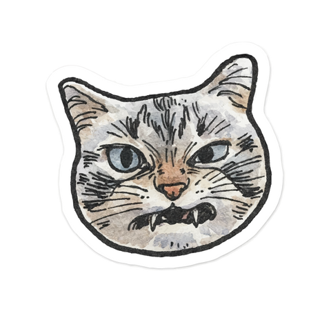 Cats & Dogs